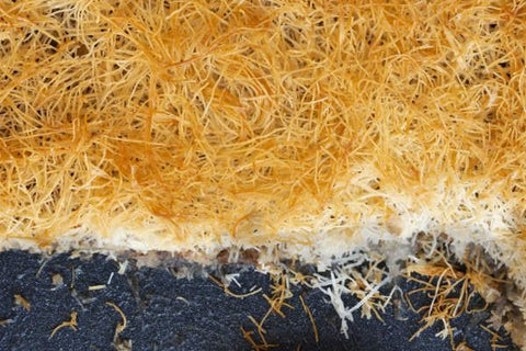 8KG LINCOLIN BAKERY TIMOS KATAIFI FROZEN SHREDDED