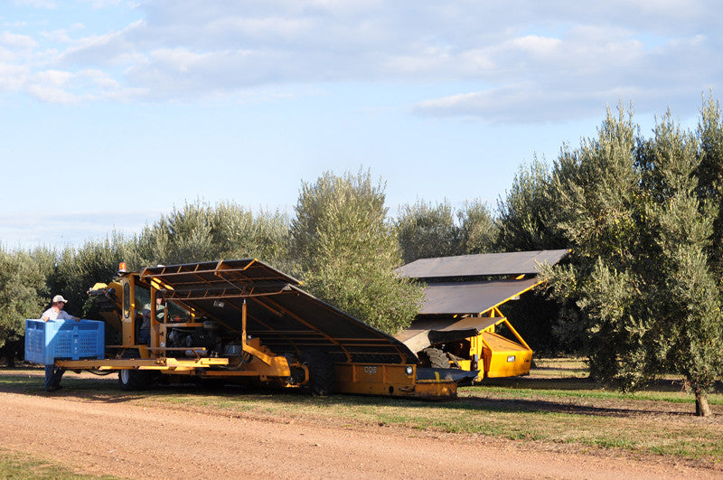Pukara Estate – Le'Petit Gourmet Trading Wholesalers and Distributors