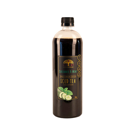 Alchemy Cucumber & Mint Iced Tea 750ml